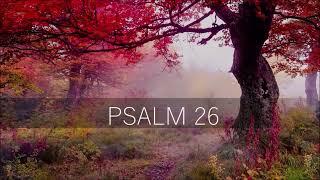 PSALM 26 / Bitte eines Unschuldigen