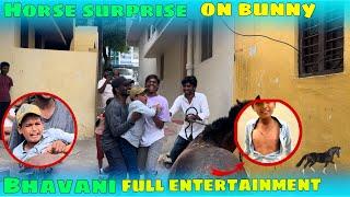 HORSE SURPRISE ON BUNNY BHAVANI FULL ENTERTAINMENT CRAZY PRANK