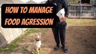 How to Manage Dog Food Aggression