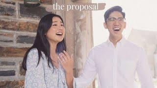 The Proposal | filmed + edited by John Lim