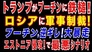 2025/5/28　トランプがロシアに制裁実行か!ロシアへの軍事的圧力を強化。ウ軍、遂に「クリミア大橋」を破壊へ? ドイツがタウルス巡航ミサイルを150発供与も=報道。ロシア暴走で「エストニア侵攻」も