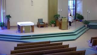 Daily Mass 11/26/2024 | Saint Elizabeth Ann Seton | Springfield, Missouri