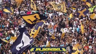 La REBEL en el Pumas (2-0) Pachuca Apertura 2024