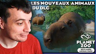 Aperçu des Animaux du Nouveau DLC | PLANET ZOO WETLANDS ANIMAL PACK