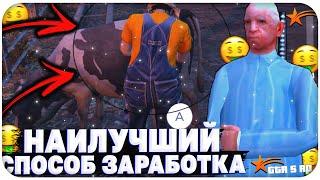 ФИНИК С НУЛЯ! НАИЛУЧШИЙ СПОСОБ ЗАРАБОТКА НА GTA 5 RP RAINBOW