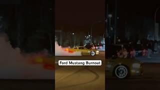 Ford Mustang Burnout #ford #mustang #fordmustang #stang #mustangmafia #fordfamily #burnout #fordfans