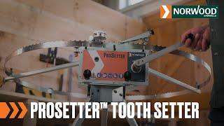 Norwood Sawmills | Prosetter™ Tooth Setter