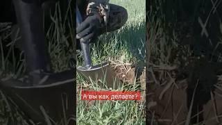 А вы что делаете с такими находками? #металлоискатель #находки #клад #металлолом #коллекционер