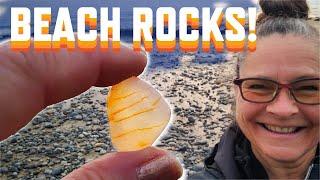 Rock Hounding the Beach Spring 2025: Oregon Coast Agate and Fossil Hunt