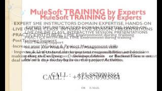 MuleSoft Online Training