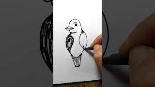 How to Draw Bird / Simple Bird Drawing