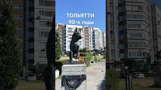 Тольятти. Трагедия самой известной собаки в Автограде   #тлт #тольяттиновости #tlt #love #life #dog