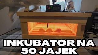 Nowy inkubator na bazie