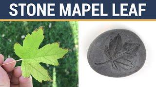 Stone-Carving A Maple Leaf