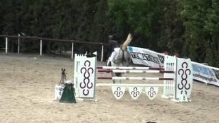 Zárug Gyula & Alvin, Budapest 135cm