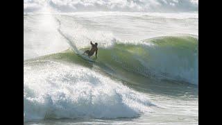 Team surf at Dbah and Snapper Rocks February 13th, 2022.