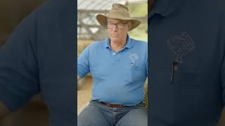 What are the two ways to start silvopasture? Joel Salatin #regenerativeagriculture