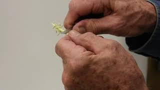 Whittling With Chris: Carving a Pine Tree