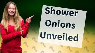 What is the point of shower onions?