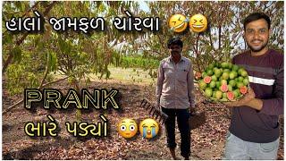 જામફળ ચોરવા ગયો  | પણ Prank ભારે પડી ગયો  | vlog | village life | prank video