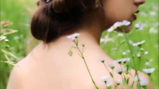 Off - Scarlett Taylor