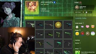 ohnepixel reviews a green themed inventory