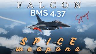 Falcon BMS 4.37 Tutorial - SPICE weapons