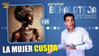  ¡¡ LA OTRA ESPOSA DE MOISES !!  La Mujer Cusita​​​​​ ​​│ Parashat BEHALOTEJÁ