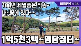 (전속중개)강화도토지,강화도부동산,강화도전원주택,강화도주택지,강화도보문사(1억5천3백~명당집터~(100년 세월품은 적송~내~땅에 있다~~
