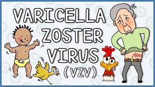 Varicella zoster virus: Chicken Pox and Shingles (herpes zoster)