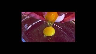 Готовим завтрак из хлеба #юмор #shorts #готовка