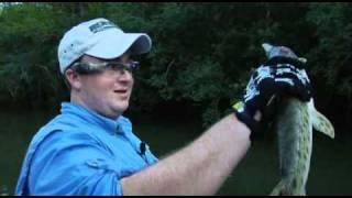 Bowfishing with Muzzy and the i-KAM EXTREMES