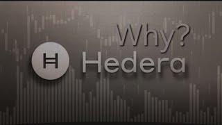 (HBAR) Hedera Hashgraph: The Future of Blockchain?