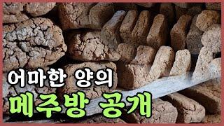 600kg 어마한 양의 메주방 공개!