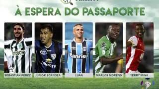 ProScout - Top 5 Libertadores