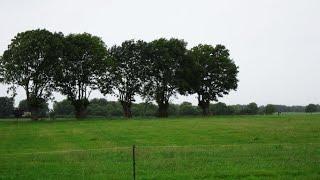 364 Cadier en Keer (Limburg, NL) 12,3 km