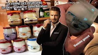 Le yaourt de la FERME DES PEUPLIERS validé par DAVID BECKHAM