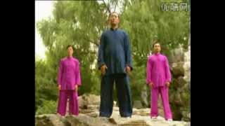 Qigong  ( Five Animals )