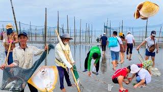 Du Khách May Mắn Bao Đăng Trúng Toàn Cá To | Nghề Mưu Sinh Biển Đồi Nhái Vũng Tàu