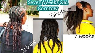 Taking out my 7 weeks old cornrows. How to prevent breakage when taking out dookie braids on Natural