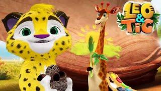 LEO and TIG   The Colors of Africa  NEW EPISODE  Moolt Kids Toons Happy Bear