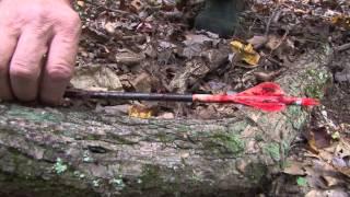 3B Outdoors TV - Monster Ohio Buck, Southwest Virginia Doe and the Big Dawg Muzzleloader