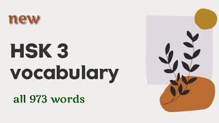 new hsk 3 vocabulary complete