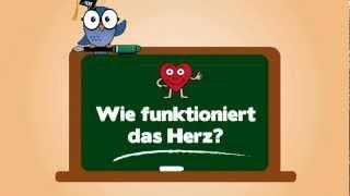 KIT for Kids: Wie funktioniert das Herz?