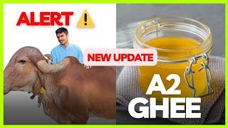 New Update On Our Nyutam Farm's A2 Cow Ghee!