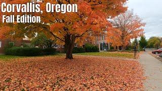 Downtown Corvallis, Oregon (and more) Walking Tour 4k