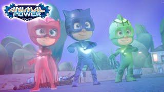 Hero Power Up  Animal Power  Full Episodes | PJ Masks Official