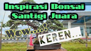 Bonsai santigi juara best IN show || inspirasi bonsai santigi juara kontes Nasional Sumenep Madura