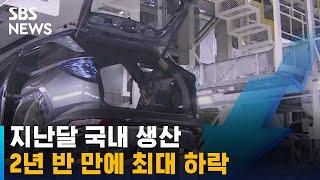 국내 생산 2년 반 만에 최대 하락…경기 침체 경고음 / SBS