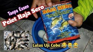 UMPAN IKAN MAS | RAJA SERO